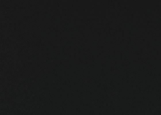 أسود 1.2mm دولاب ذاتي اللصق فيلم الفينيل مقاومة الرطوبة للمطبخ